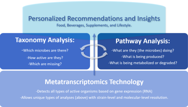 viome recommendations and insights