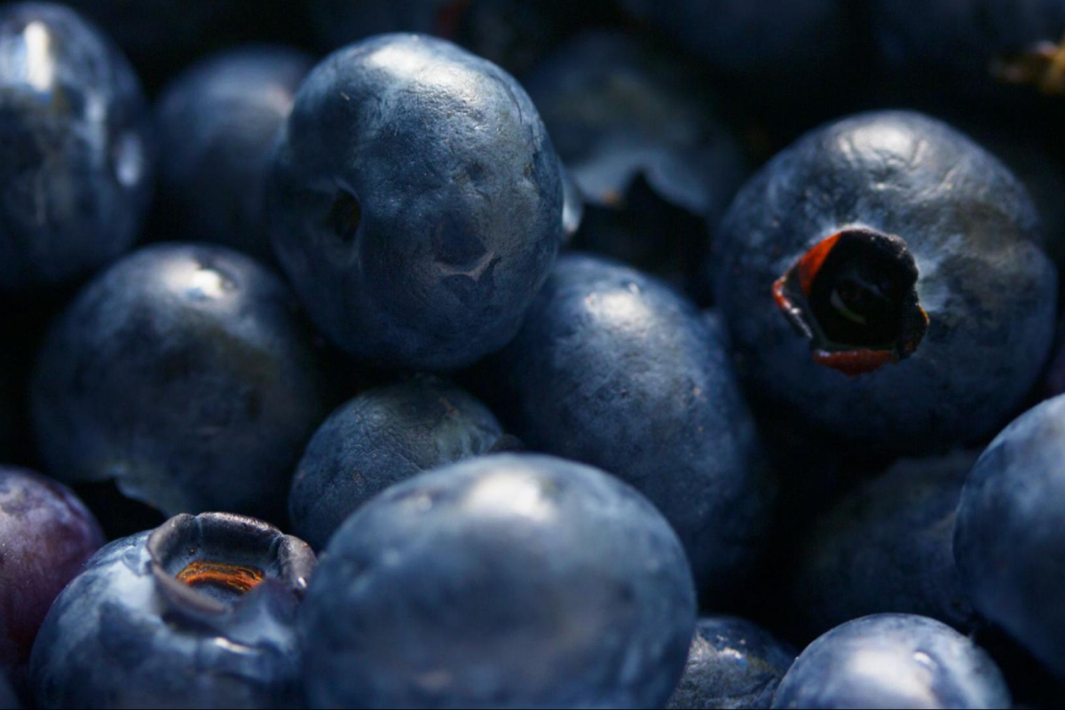 blueberries