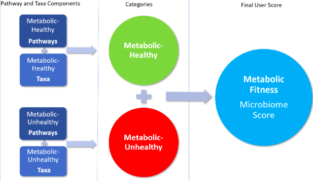 metabolic fitness score