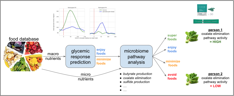 Viome Recommendation System